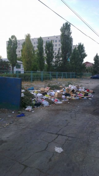 В 8 микрорайоне не убирают мусор <b>(фото)</b>