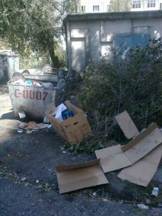 Читательница просит перенести мусорные баки, находящиеся возле детского сада и электроподстанции в мкр. Восток-5 <b>(фото)</b>