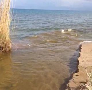 Видео - В селе Чок-Тал нечистоты вливаются в озеро Иссык-Куль