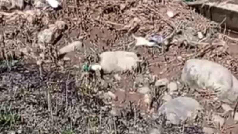 Канал в селе Чон-Таш забит мусором. Видео