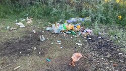 Бишкечанка жалуется на мусор на диком пляже в Чолпон-Ате. Фото