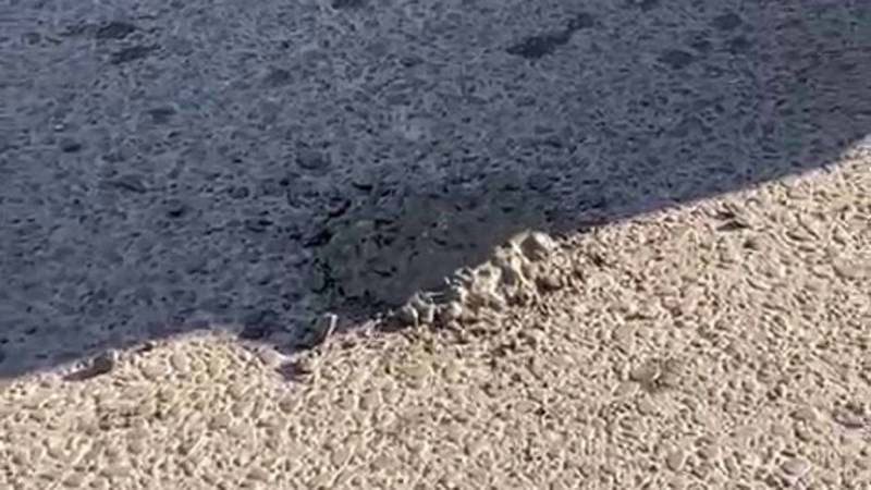 Из бетономешалки на дорогу капает раствор. Видео