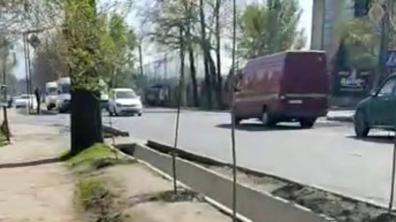 На Советской высыхают саженцы вдоль дороги. Видео