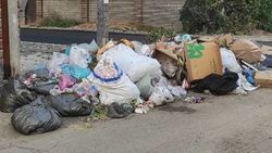 На Фирсова две недели не убирают мусор. Фото Рустама