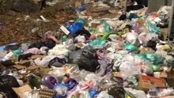 «Тазалык» убирает мусор в 8 мкр? Видео горожанина