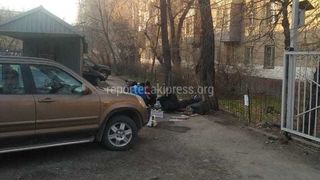 Горожанин жалуется на бомжей во дворе дома на Турусбекова. Ответ мэрии