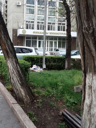 Мужчина вывалил мусор из пакета на газон бульвара Эркиндик, а после зашел в здание Министерства финансов, - читательница <b><i>(фото)</i></b>