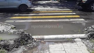 «Бишкекзеленхоз» устранил затоп тротуара на Жибек Жолу