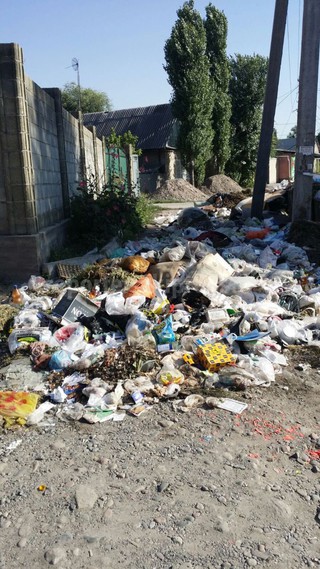 На Ибраимова-Мичурина мусор уже неделю убирается только из баков, а на накопившуюся рядом груду не обращают внимания- читатель <b><i>(фото)</i></b>