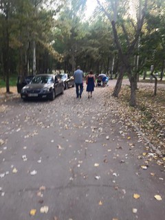 На территорию парка на Южных воротах, где гуляли дети и семьи, заехали две автомашины<b><i>(фото)</i></b>