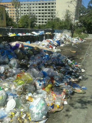 Горожане жалуются на неубранный мусор в разных районах столицы <b><i>(фото)</i></b>