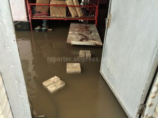В Бишкеке после дождя затопило ряд дворов по ул.Гульчинской <i>(фото)</i>