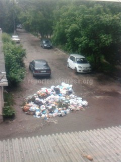 Жители ряда домов мкр Аламедин-1 просят городские службы перенести мусорные баки (фото)