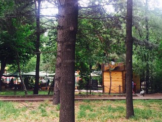 парковая зона на пересечении улиц Тыныстанова-Чуй