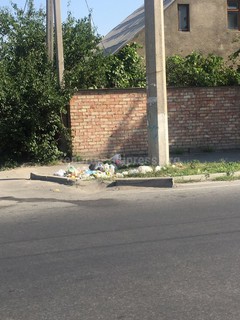 На улице Гагарина мусор лежит почти на проезжей части, - читатель (фото)