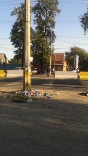 Из-за отсутствия мусорных баков скапливается мусор на проспекте Жибек-Жолу (фото)