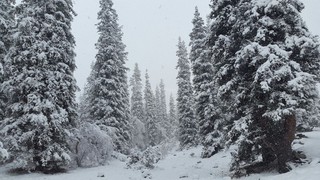 Фоторепортаж — Ущелье Ала-Арча в снегу