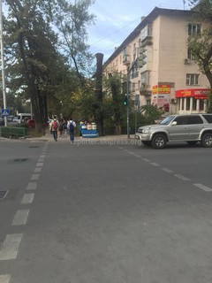 Читатель считает, что «Зеленстрой» Бишкека изуродовал некоторые деревья, производя вырубку веток <i>(фото)</i>