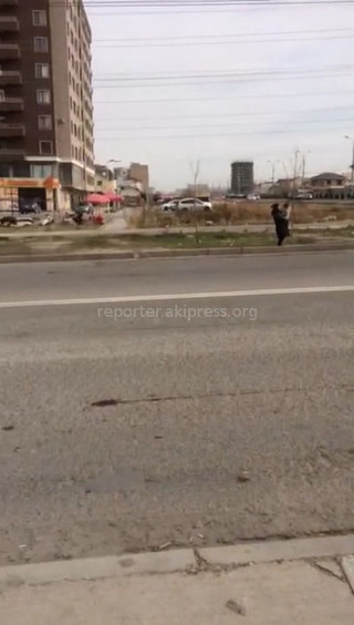На пересечении улиц Тыналиева и Жайыл баатыра в Бишкеке установлен знак пешехода, но нет «зебры», - читатель (видео