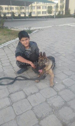 В Бишкеке украли собаку у мальчика с больным сердцем, самочувствие мальчика ухудшилось <i>(фото)</i>