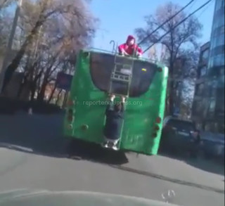 Видео — 2 парня прокатились на крыше троллейбуса в Бишкеке