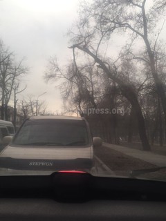 На пересечении улиц Фрунзе и Молодой Гвардии нависает сломанная ветка, - читатель (фото)