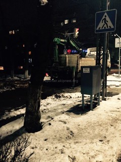 Законно ли спилили дерево на пересечении улиц Московской и Панфилова? - бишкекчанин (фото)