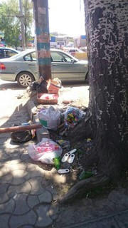 Читательница просит убрать мусор с проспекта Жибек-Жолу напротив Аламединского рынка (фото)