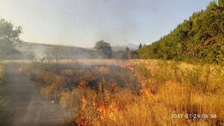 Бишкекчанин недоволен, что пожарные тушили огонь с помощью палок и тряпок (фото)