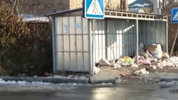 На улице Жалила Нургазиева в жилмассиве Бакай-Ата отсутствуют мусорные баки