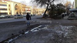 Бишкекчанин жалуется на лужи, которые постоянно образовываются на тротуаре ул.Фучика <i>(фото)</i>