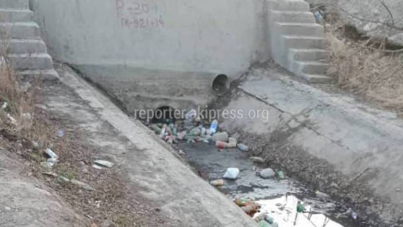На Анкара-Алтын Ордо в арыке накопился мусор? - бишкекчанин (видео)