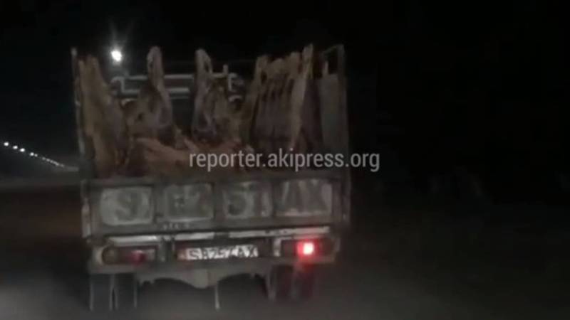 В Бишкеке водитель грузовика перевозил разделанные туши КРС в кузове, - читатель (видео)