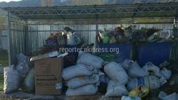 В селе Таш-Добо редко вывозят мусор, - местный житель (фото)