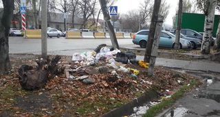 На участке проспекта Жибек Жолу нет ни одного мусорного бака, - бишкекчанин