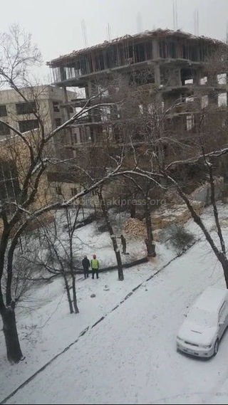 «Зеленстрой» формирует кроны деревьев в 3 мкр, - мэрия Бишкека