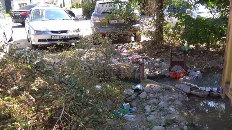На ул. Исанова возле железной дороги разбросан мусор (фото)