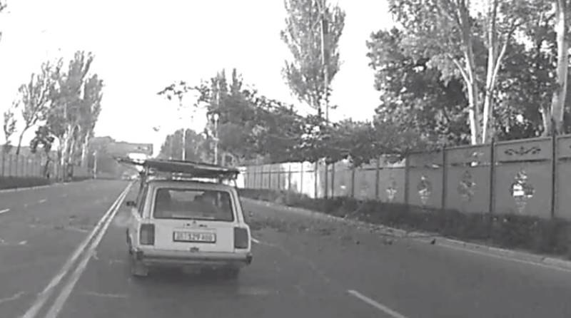 Момент падения дерева на автомобиль попало на видео