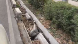 На пр.Манаса разбитые бордюры лежат в арыке (видео)