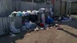 Из Кузнечного переулка не вывозят мусор, жалуется горожанин