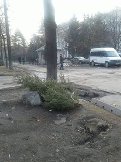 Читатель просит убрать елку, которую выбросили на бульваре Молодой Гвардии (фото)