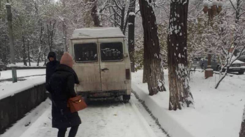 На ул.Панфилова бусик припарковали на тротуаре (фото)