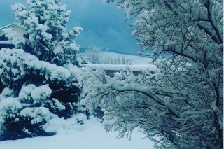 Каракол засыпало снегом (фото, видео)