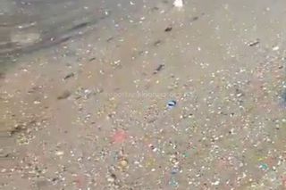 Читатель Чаатегин жалуется на мусор на берегу третьего Ала-Арчинского водохранилища (видео)