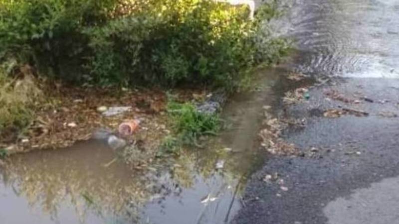 «Бишкекзеленхоз» устранил причину потопа на тротуаре на ул.Ахунбаева