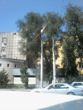 Возле Минэнерго по Ахунбаева в дневное время включено уличное освещение,- читатель <b>(фото)</b>