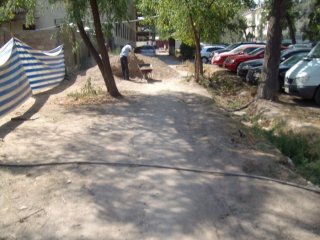 Где ходить гражданам, если отсутствуют тротуары на Панфилова и Осмонкула?- читатель <b>(фото)</b>