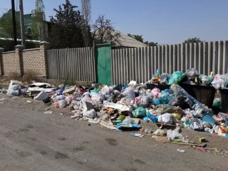 С ул. Курчатова несколько дней не вывозят мусор, - читатель <b>(фото)</b>