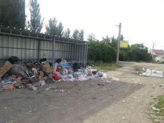 Когда же появятся мусорные контейнеры в Верхнем Токольдоше? - бишкекчанин (фото)