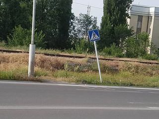 Житель столицы просит починить дорожный знак и обновить разметку на участке ул.Толстого (фото)